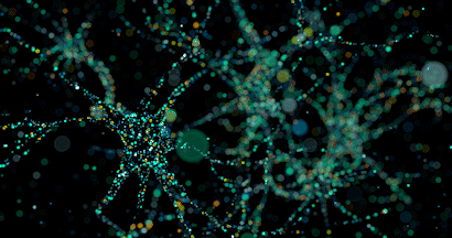 LIVE PRIMARY DERMAL CELLS